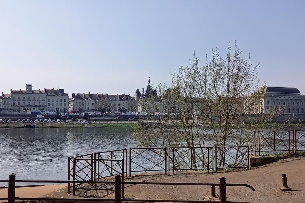 Les Marronniers Appartement Centre Saumur Bord De Loire 外观 照片