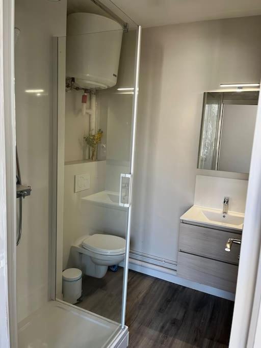 Les Marronniers Appartement Centre Saumur Bord De Loire 外观 照片