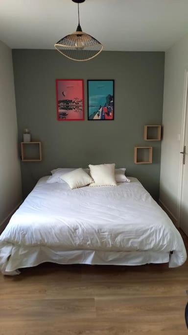 Les Marronniers Appartement Centre Saumur Bord De Loire 外观 照片